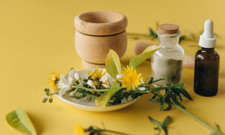 O que é naturopatia? Guia completo